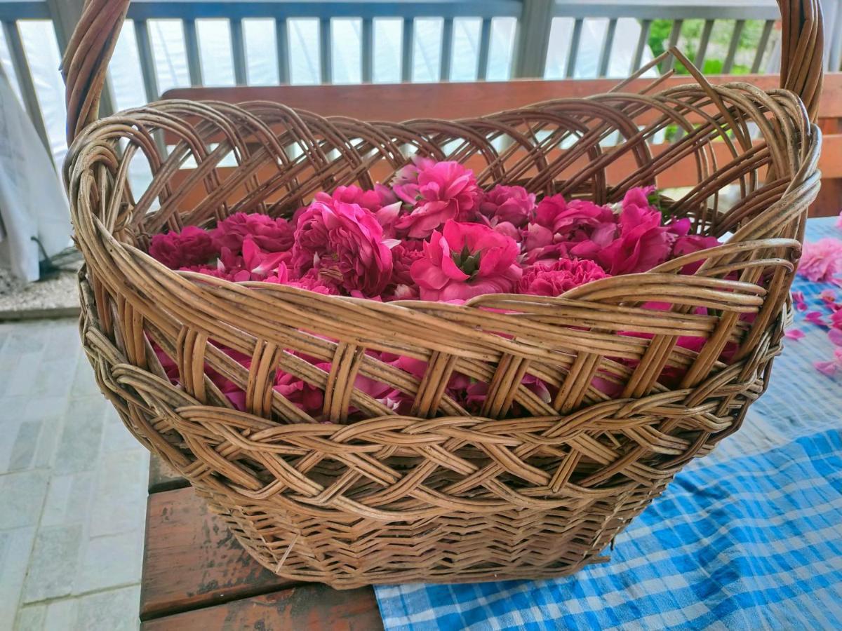 לינה וארוחת בוקר Bosentino Agritur Maso Flonkeri מראה חיצוני תמונה